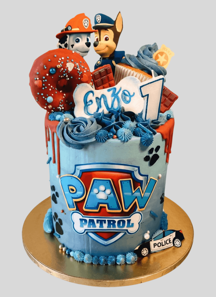 Admirable Paw Patrol Cake Design