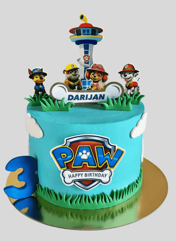 Adorable Paw Patrol Cake