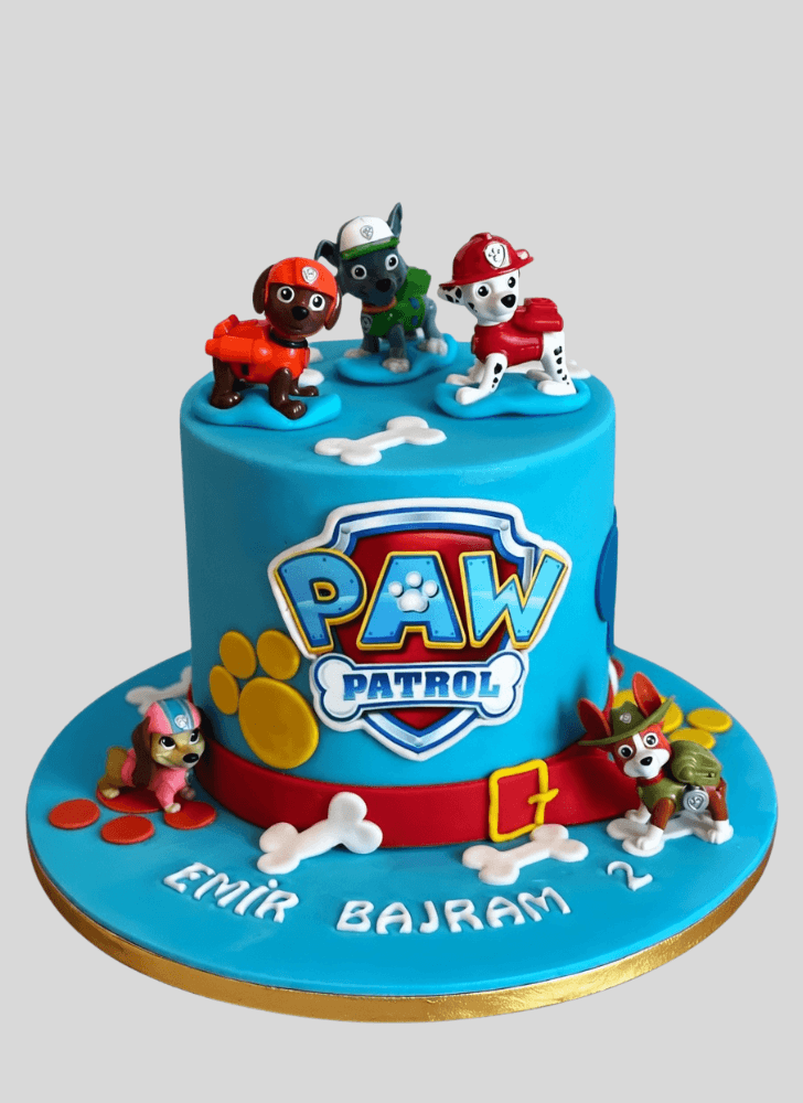 Alluring Paw Patrol Cake
