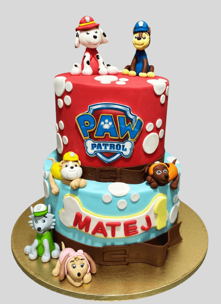 Angelic Paw Patrol Cake