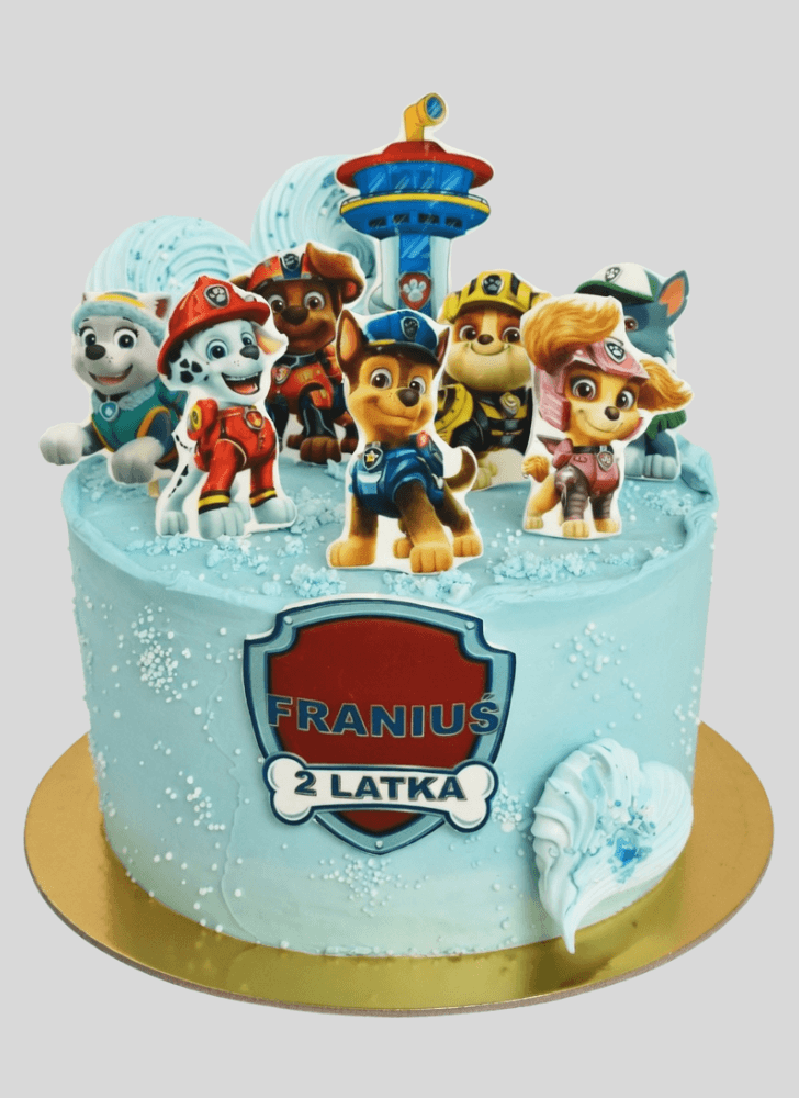 Appealing Paw Patrol Cake