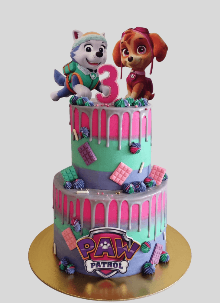 Beauteous Paw Patrol Cake