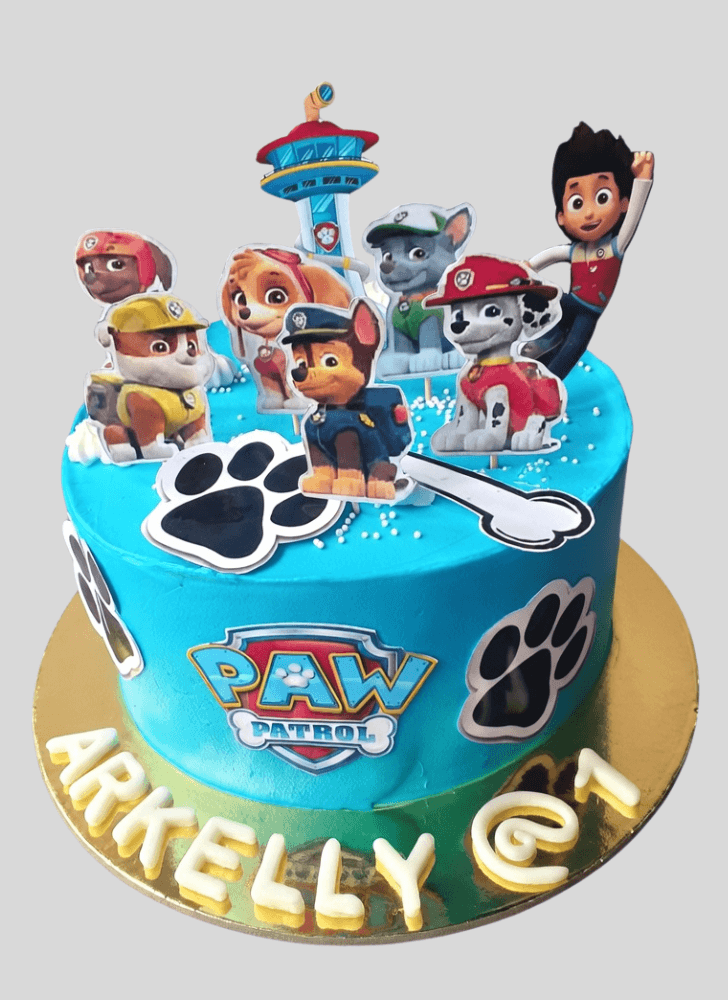 Captivating Paw Patrol Cake