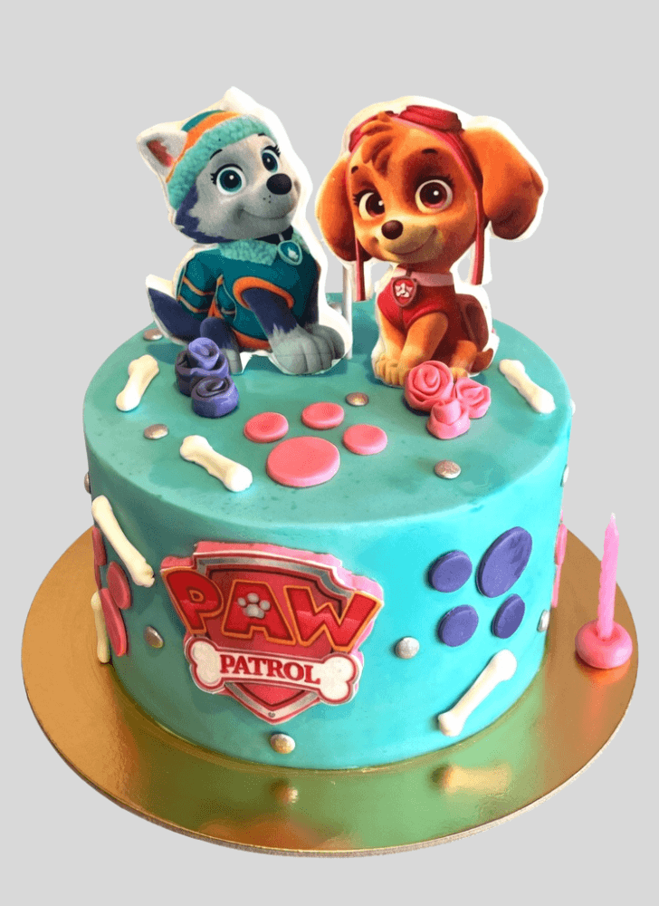 Classy Paw Patrol Cake