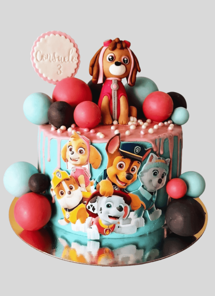 Excellent Paw Patrol Cake