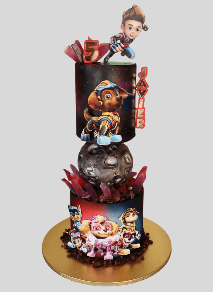 Exquisite Paw Patrol Cake