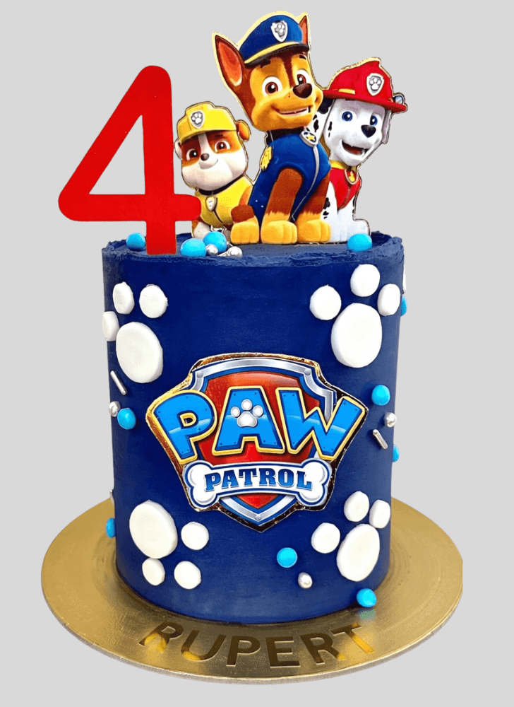 Fair Paw Patrol Cake