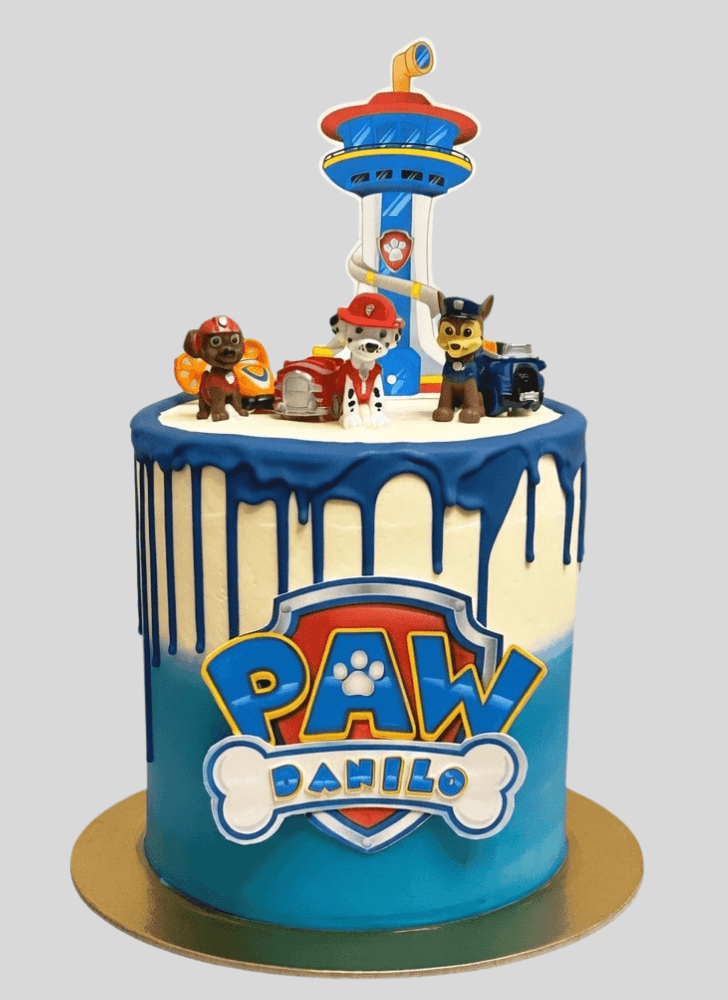 Fetching Paw Patrol Cake