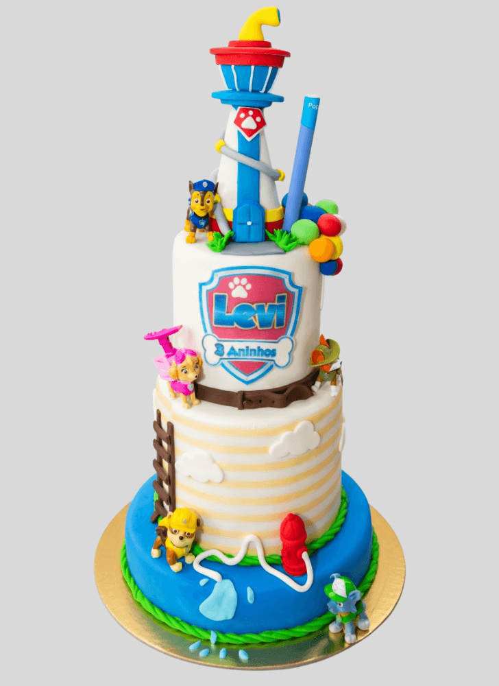 Good Looking Paw Patrol Cake