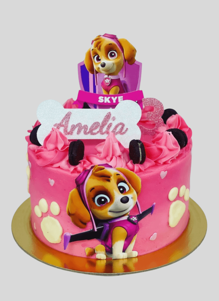 Gorgeous Paw Patrol Cake