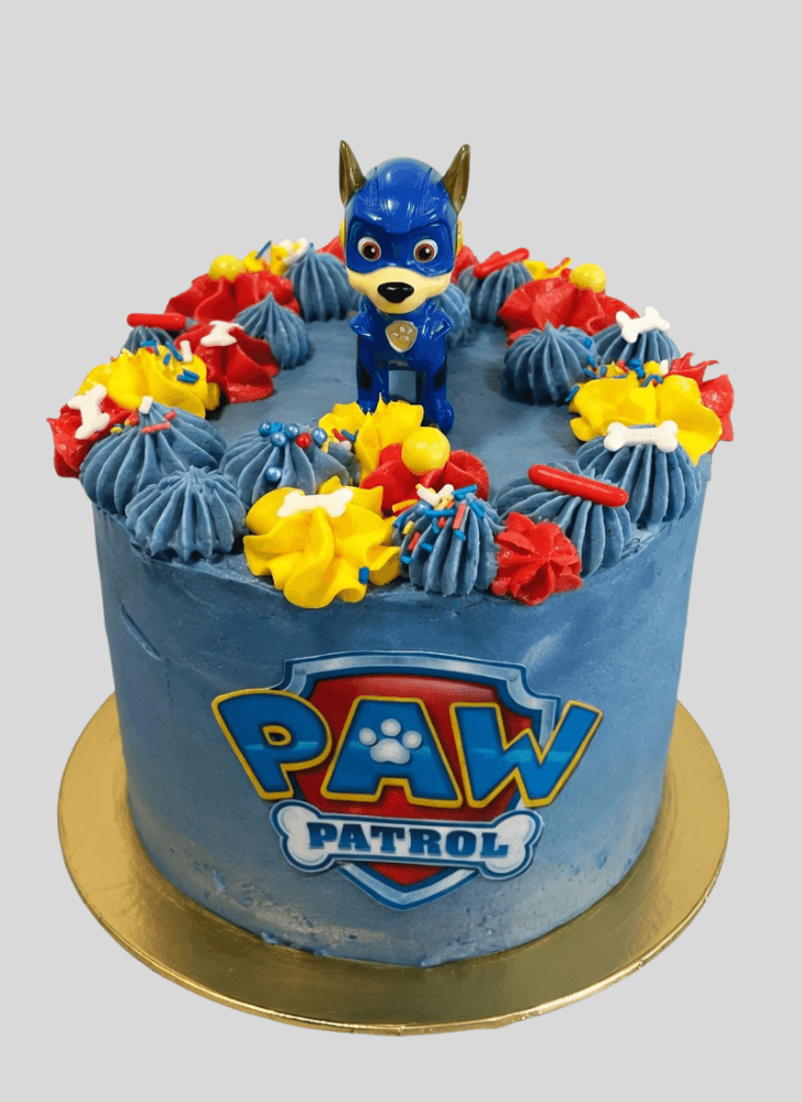 Graceful Paw Patrol Cake