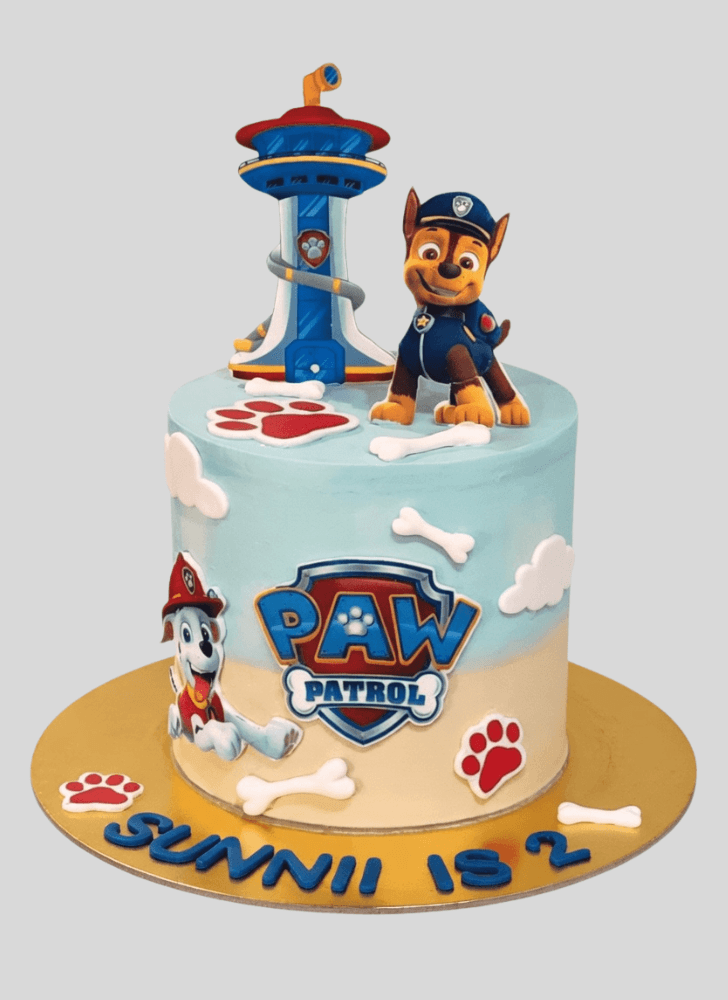Handsome Paw Patrol Cake