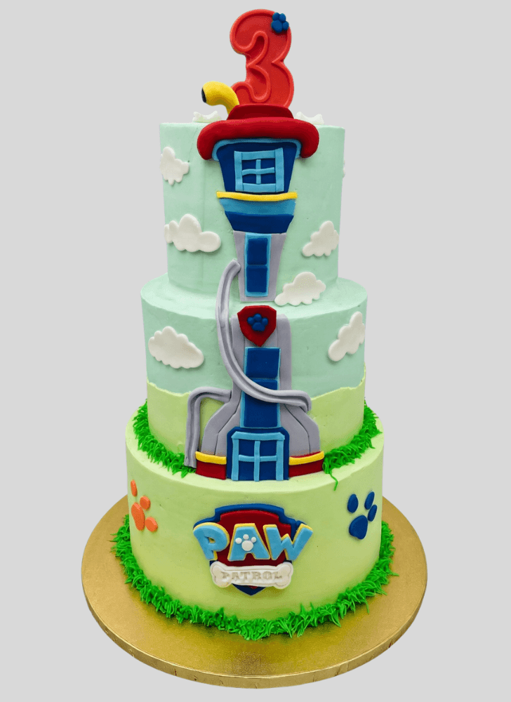 Ideal Paw Patrol Cake