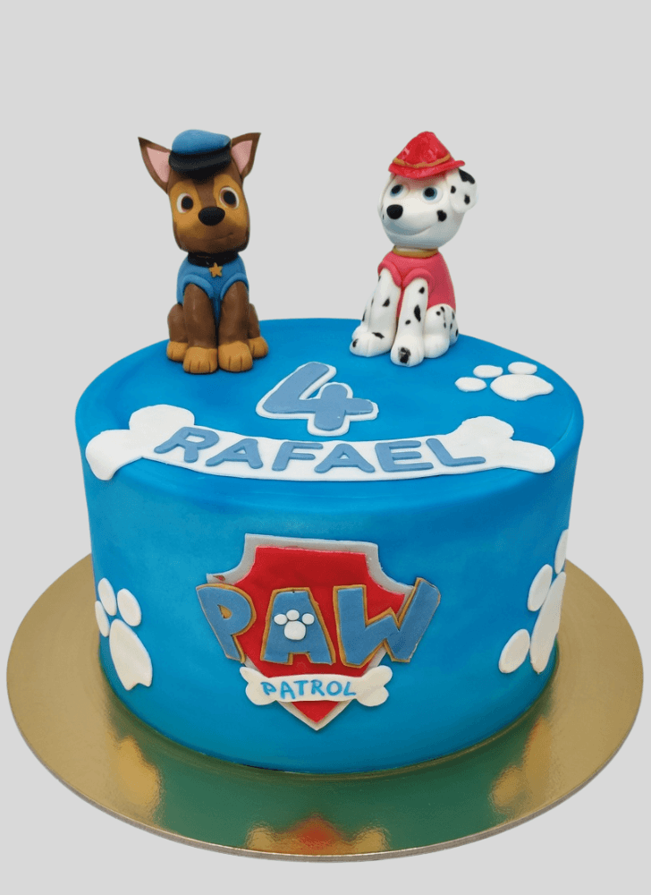 Magnetic Paw Patrol Cake