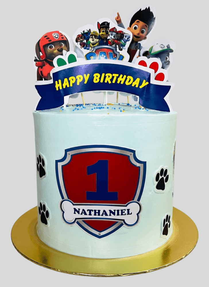 Magnificent Paw Patrol Cake