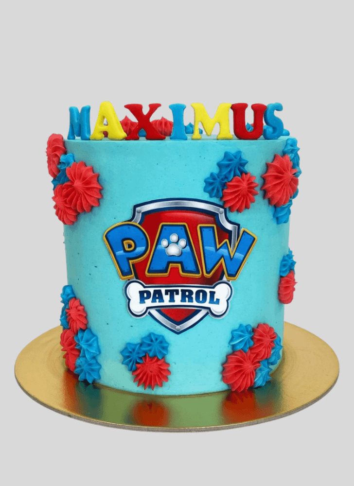 Mesmeric Paw Patrol Cake