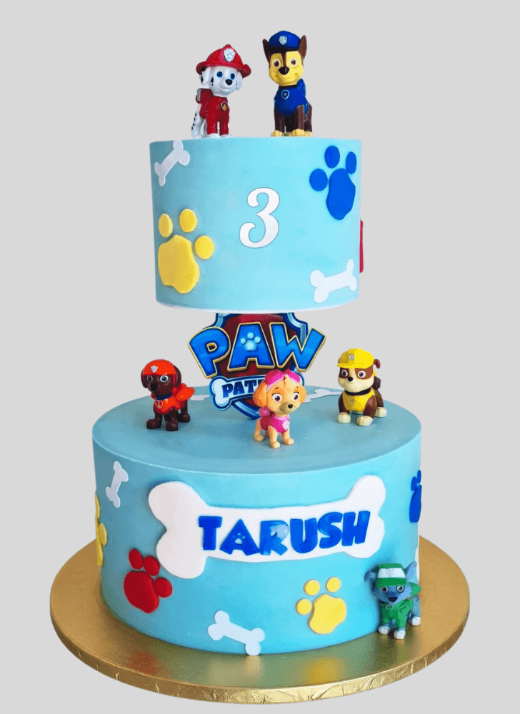 Nice Paw Patrol Cake