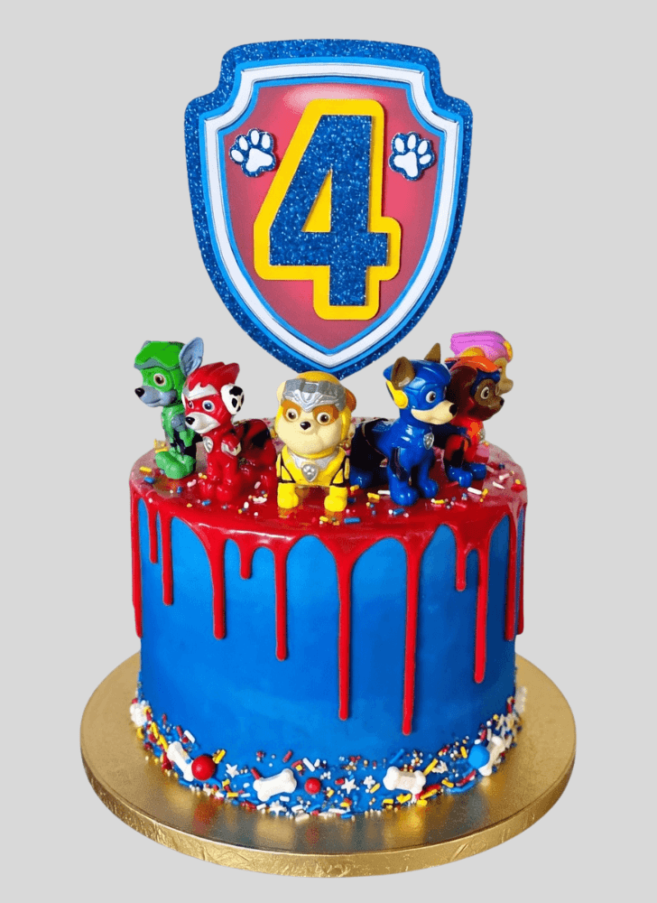 Pleasing Paw Patrol Cake