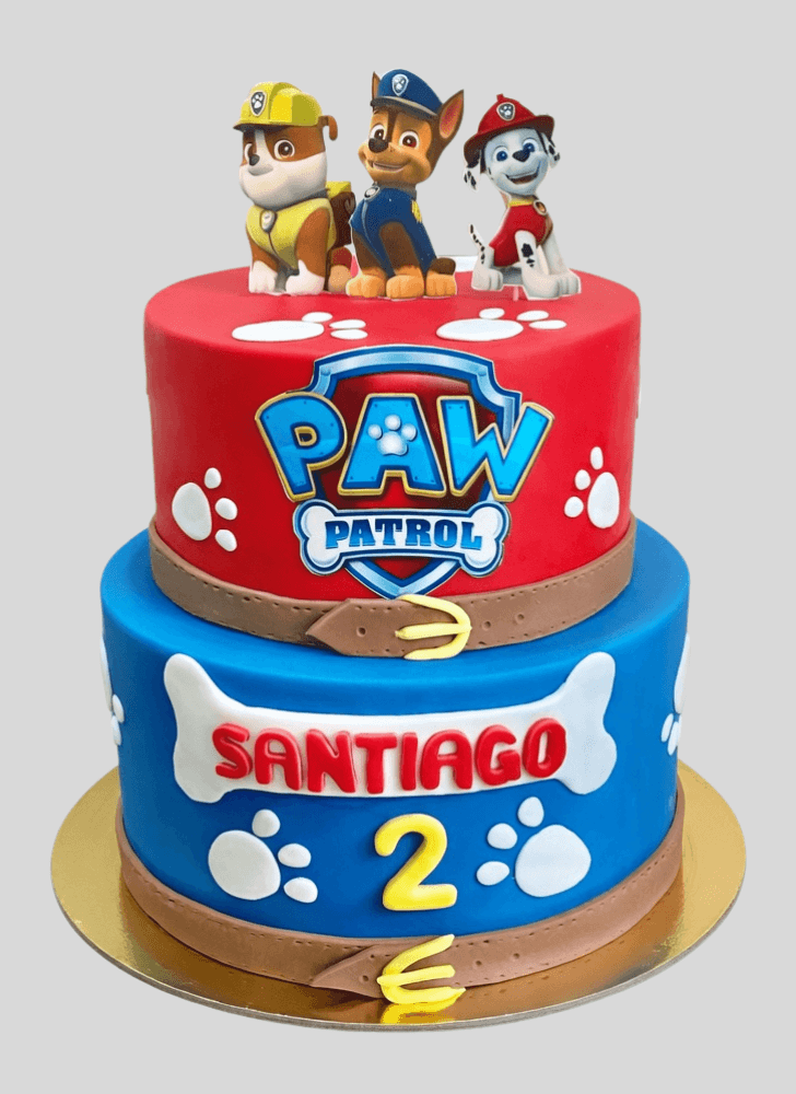 Pretty Paw Patrol Cake