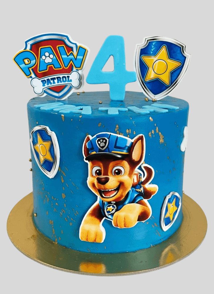 Resplendent Paw Patrol Cake