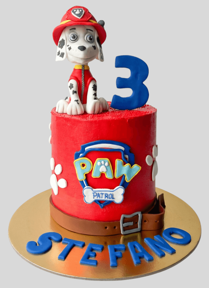 Shapely Paw Patrol Cake