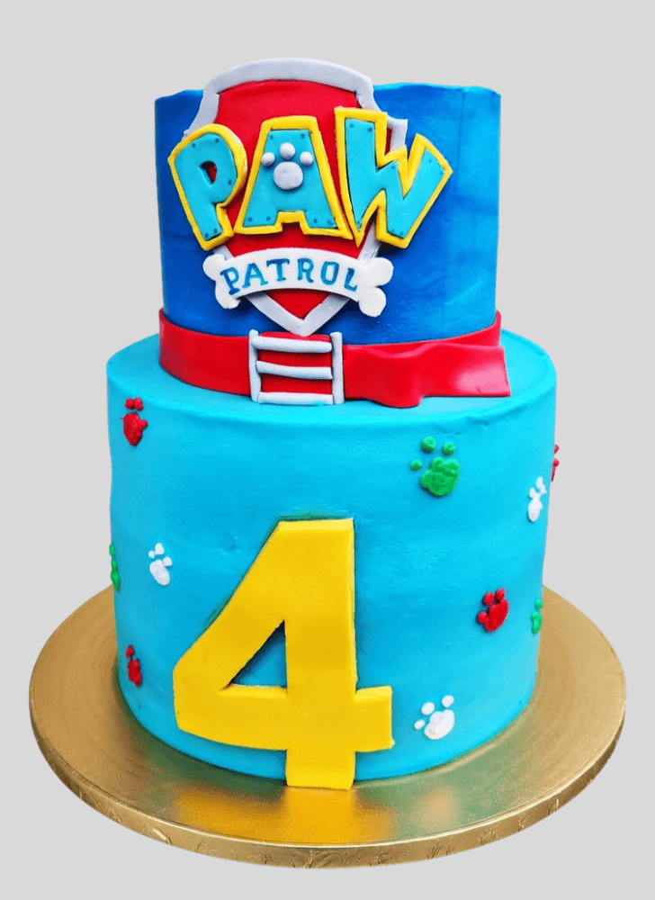 Slightly Paw Patrol Cake