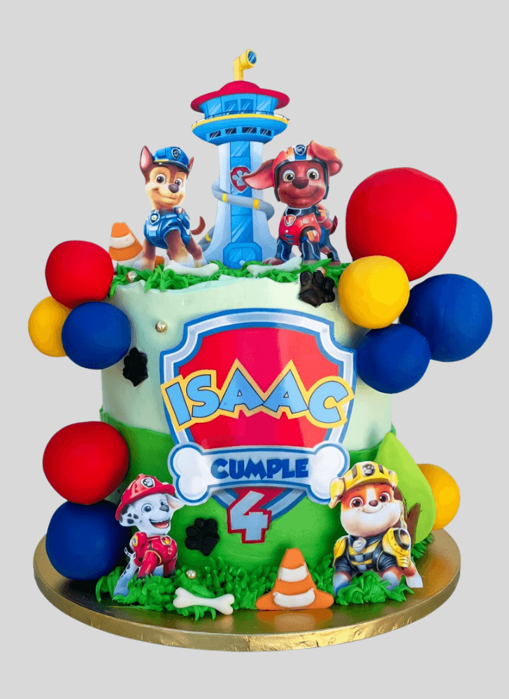 Splendid Paw Patrol Cake