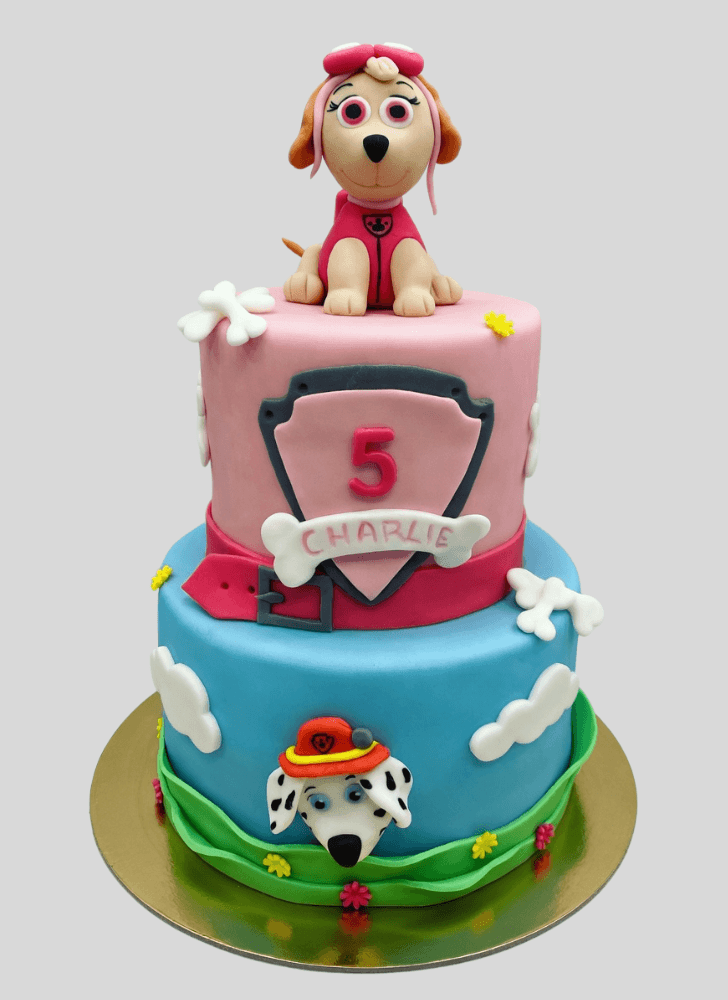 Stunning Paw Patrol Cake