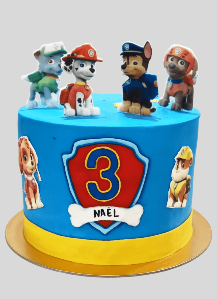 Superb Paw Patrol Cake