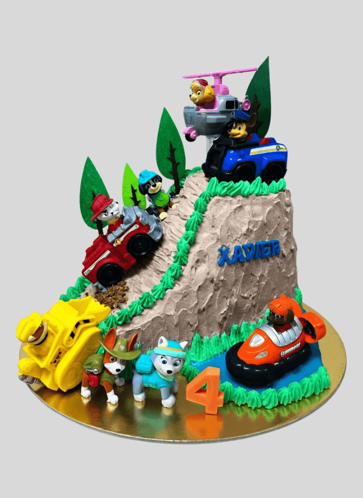 Wonderful Paw Patrol Cake Design