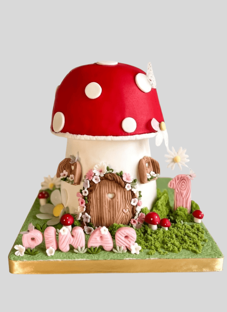 Magnetic Mushroom Cake