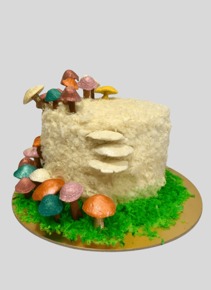 Refined Mushroom Cake