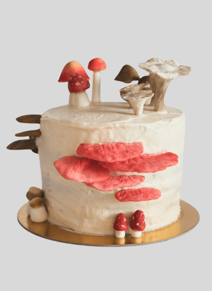 Slightly Mushroom Cake