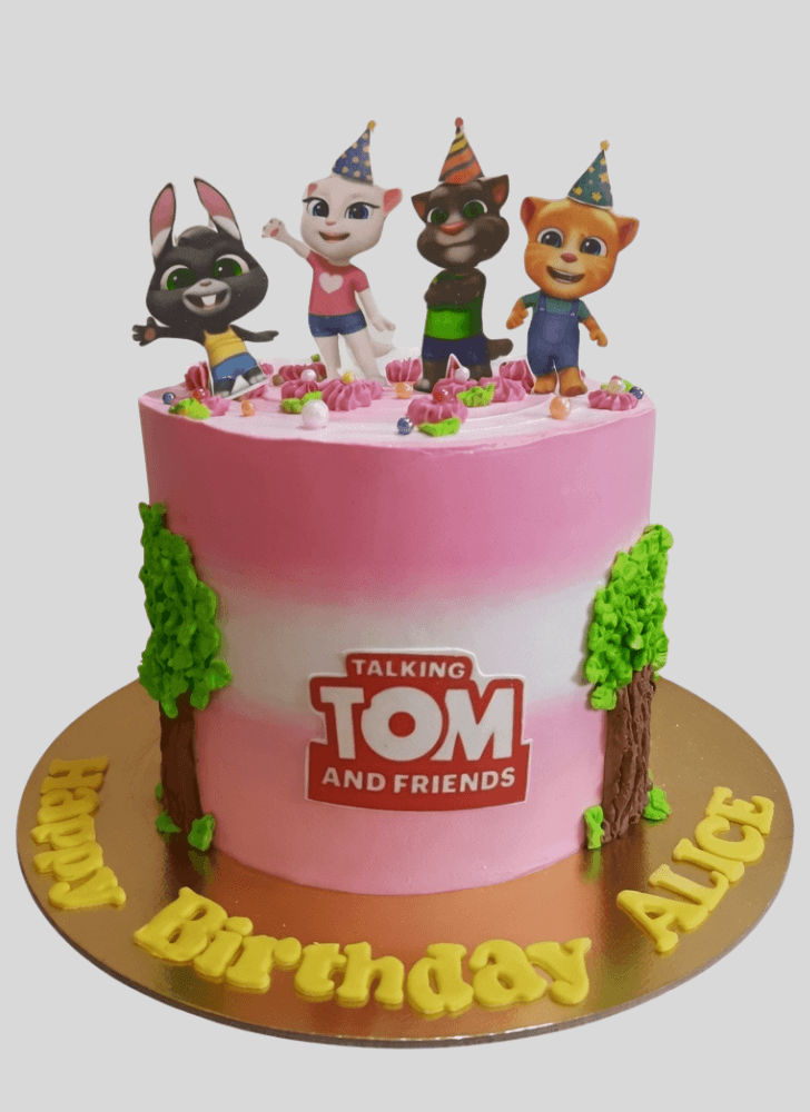 Fine Talking Tom Cake