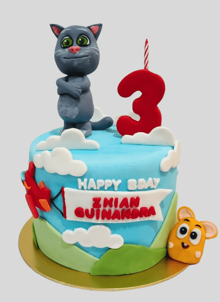 Nice Talking Tom Cake