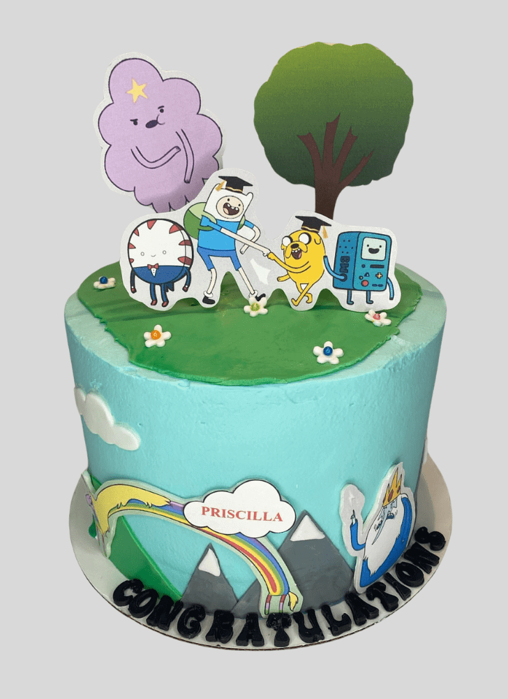 Elegant Adventure Time Cake