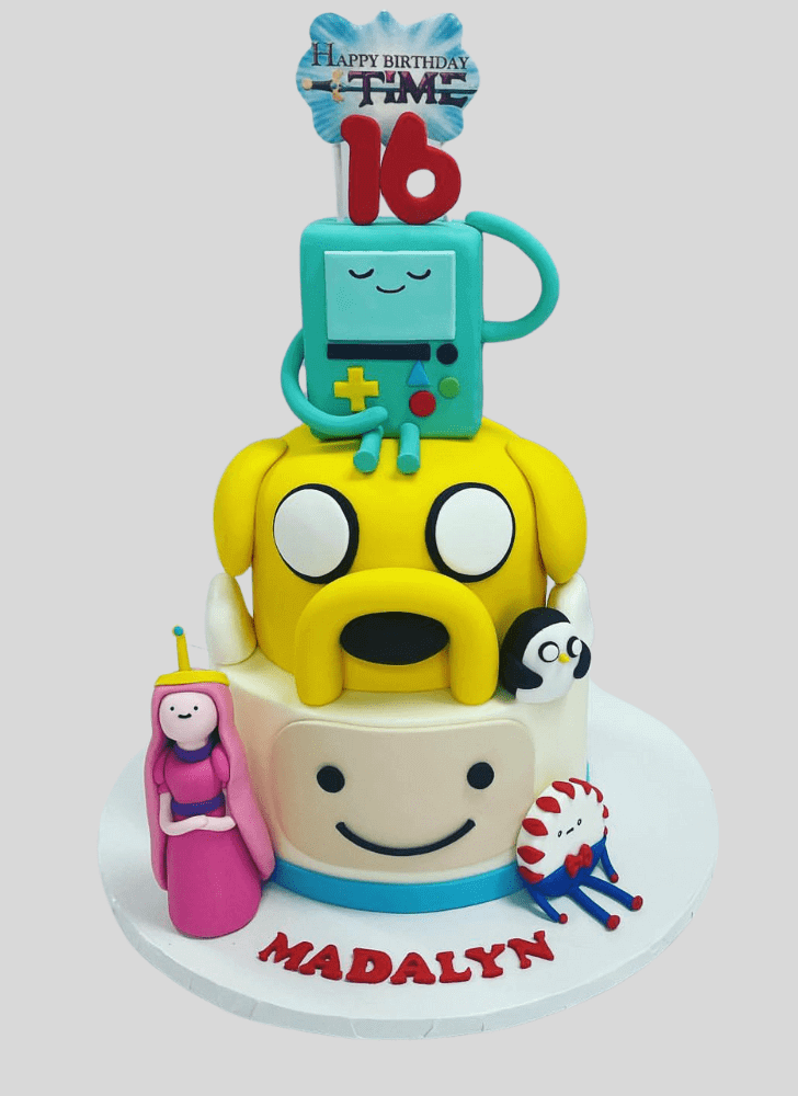 Gorgeous Adventure Time Cake