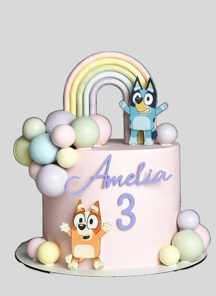 Bewitching Bluey Cake