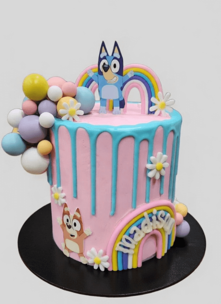 Magnetic Bluey Cake