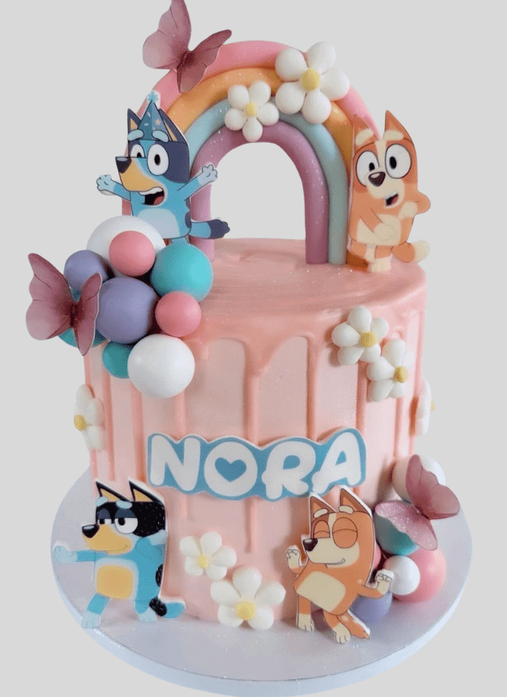 Nice Bluey Cake