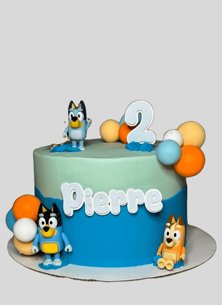 Shapely Bluey Cake