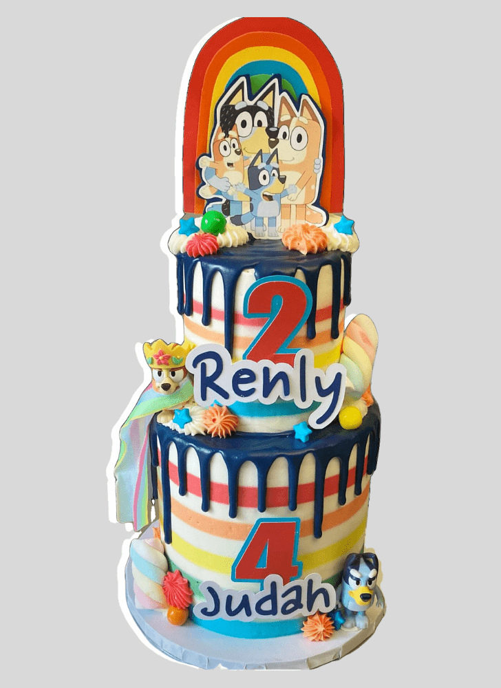 Splendid Bluey Cake
