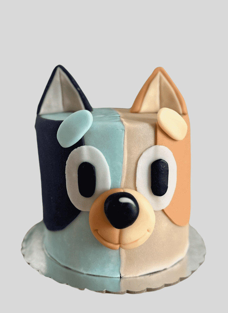Wonderful Bluey Cake Design