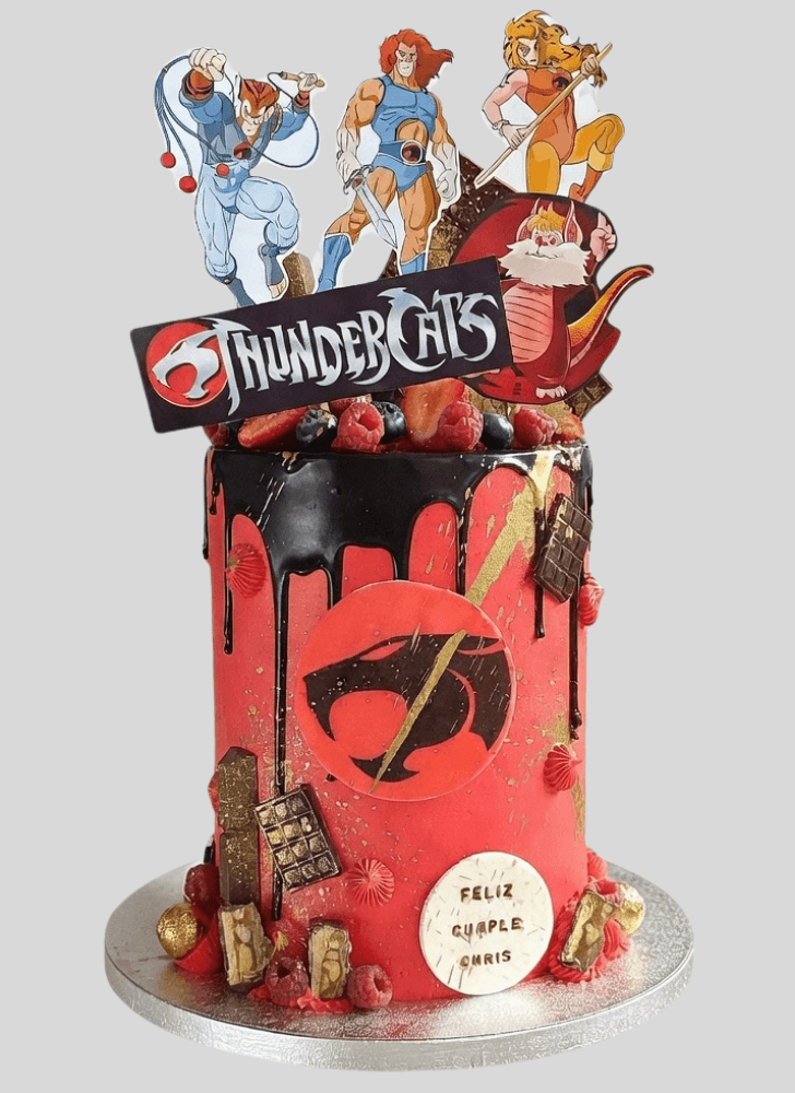Enthralling Thundercats Cake