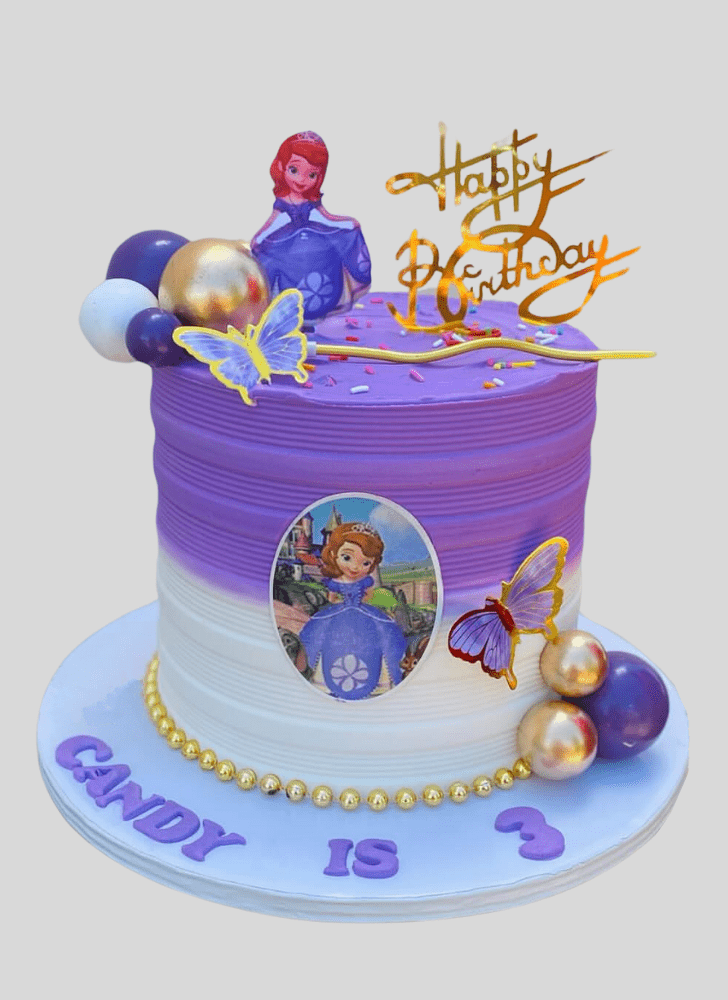 Bewitching Sofia The First Cake