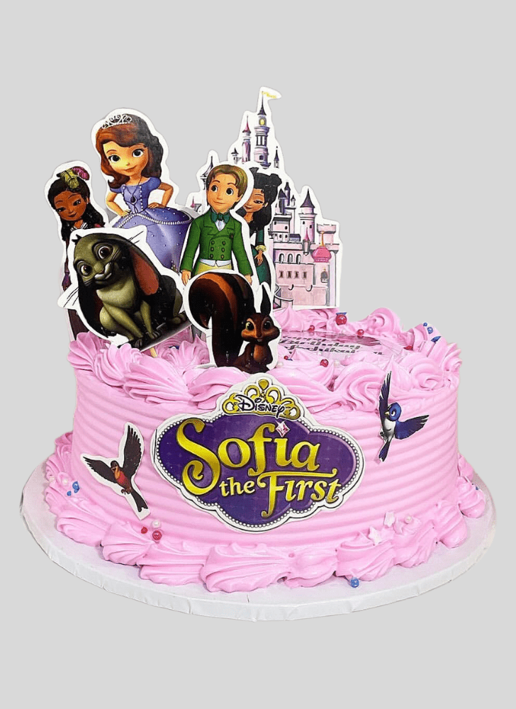 Charming Sofia The First Cake