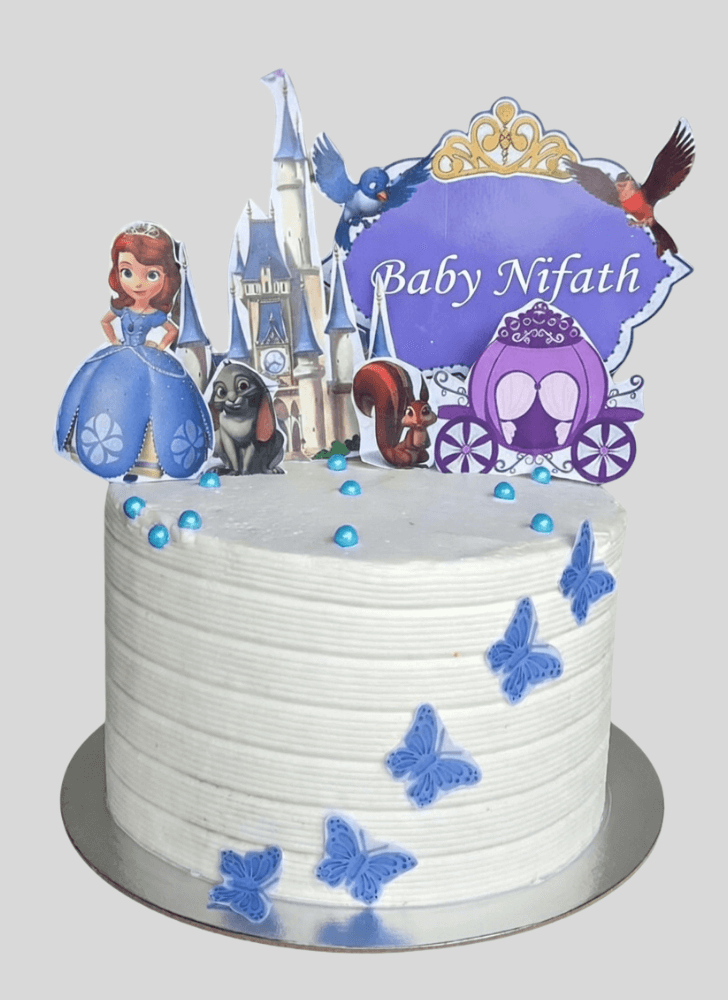 Fair Sofia The First Cake