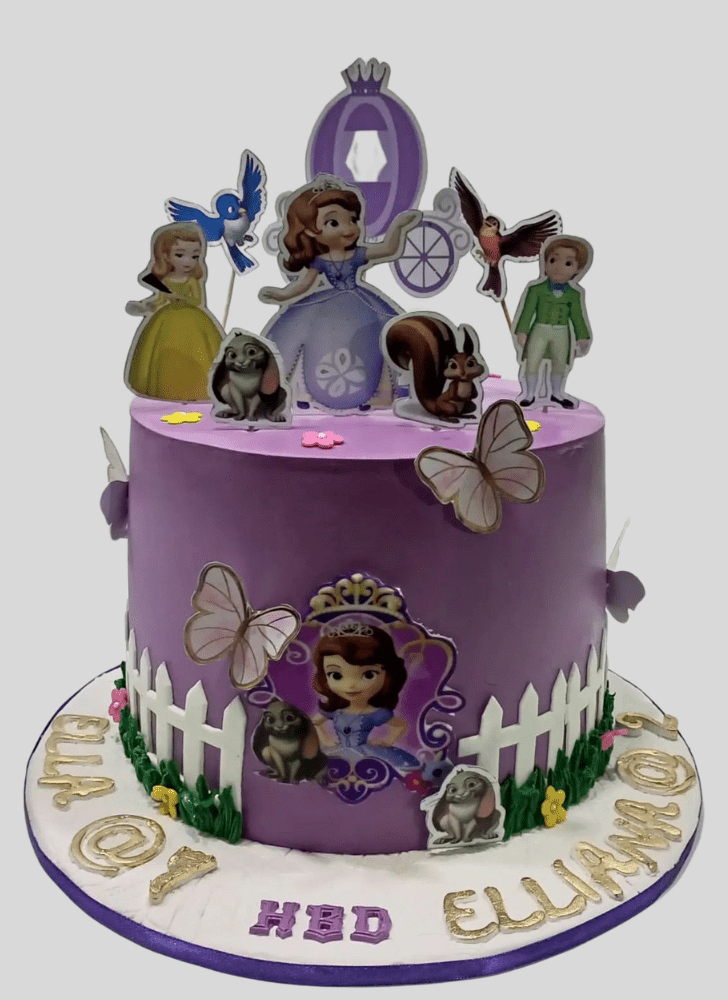 Inviting Sofia The First Cake