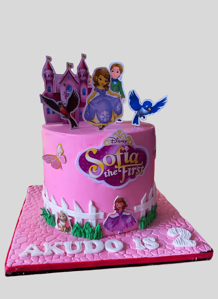 Pretty Sofia The First Cake