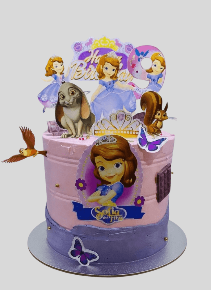 Radiant Sofia The First Cake